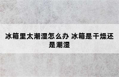 冰箱里太潮湿怎么办 冰箱是干燥还是潮湿